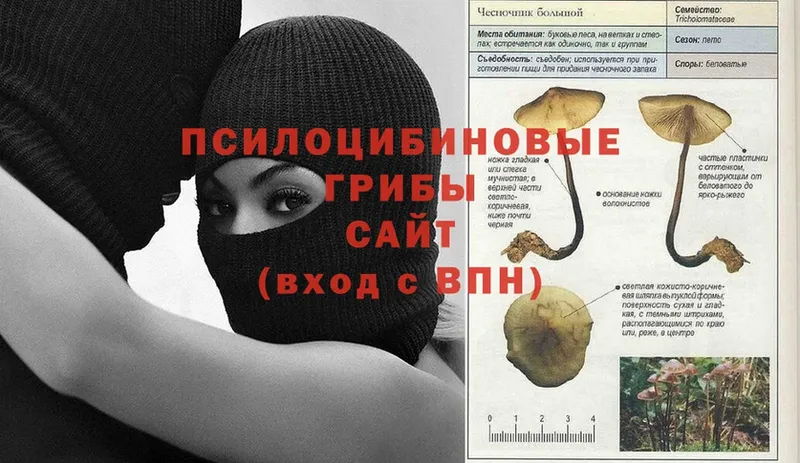 Галлюциногенные грибы Psilocybine cubensis  Белоярский 